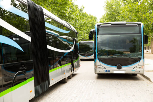 Bus transport services